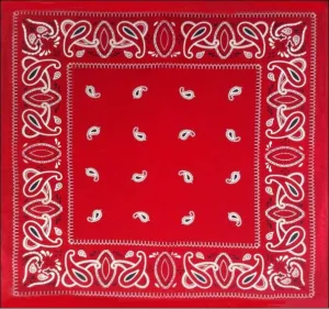 12 Piece Bandana Scarves Fashion Paisley Pocket Square Tie Hip Hop Bandana