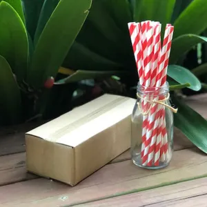 BULK SALE pack - 100 stripe paper straws